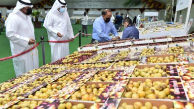 وفق الوزارة: لبنان ينافس تركيا ومصر على أسواق الفواكه والخضار في الخليج