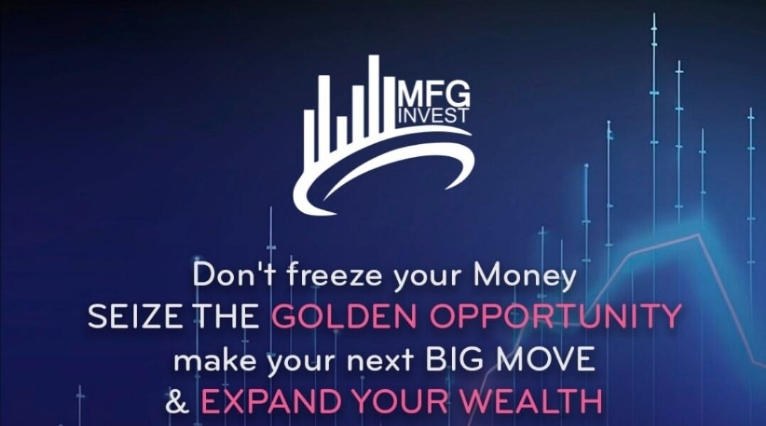شركة MFGinvest معلومات أساسية للمستثمرين