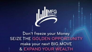 شركة MFGinvest معلومات أساسية للمستثمرين