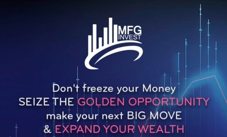 شركة MFGinvest معلومات أساسية للمستثمرين